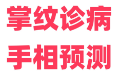 掌纹诊病看相书籍合集（老书）[免费在线观看][免费下载][网盘资源][电子书籍]