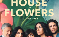 这部Netflix西班牙语剧太好看了·花之屋·La casa de las flores:花之屋 全三季 4K  Season 1-3 (2018-2020)：