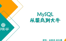 【B站】MySQL数据库教程天花板，从菜鸟到大牛：