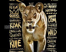 [阿里云盘]《野性王后 Queens》2024 4K/HDR 美 纪录片 7集：聚焦于动物界中最具代表性的六个由强势雌性统治的世界。[免费在线观看][免费下载][夸克网盘][欧美影视]