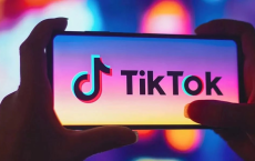 TikTok - 抖音国际版 v35.5.4 + TikTokPlugin v1.44[免费在线观看][免费下载][网盘资源][安卓软件]