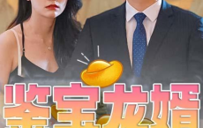 [短剧]鉴宝龙婿 - 2023（80集）[免费在线观看][免费下载][网盘资源][短剧分享]